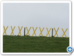 IMG_3056